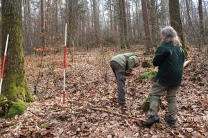 Waldverbiss-Gutachten-03